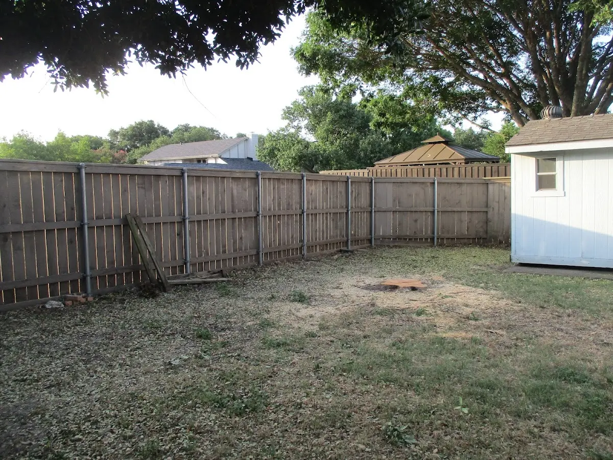 Cleared yard after professional tree removal in Lizella